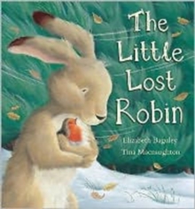 The Little Lost Robin, Hardback Book The Little Lost Robin, Hardback Book