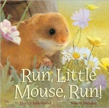 Run, Little Mouse, Run!, Hardback Book Run, Little Mouse, Run!, Hardback Book