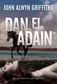 Dan ei Adain, Paperback Book Dan ei Adain, Paperback Book