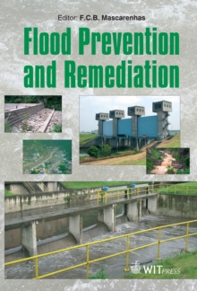 Flood Prevention and Remediation