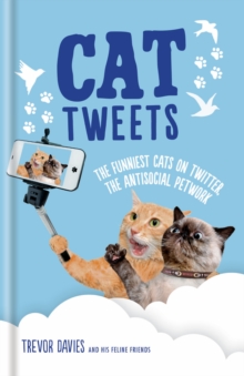 Cat Tweets