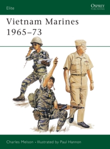 Vietnam Marines 196573