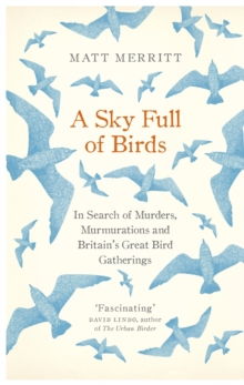 A Sky Full of Birds, Hardback Book A Sky Full of Birds, Hardback Book