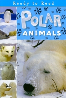 Polar Animals, Paperback Book Polar Animals, Paperback Book
