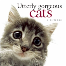 Utterly Gorgeous Cats, Hardback Book Utterly Gorgeous Cats, Hardback Book
