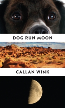 Dog Run Moon : Stories