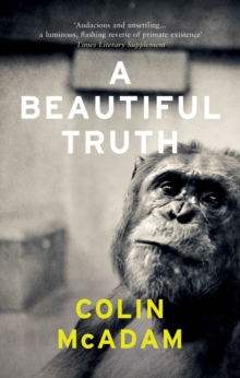 A Beautiful Truth, Paperback / softback Book A Beautiful Truth, Paperback / softback Book