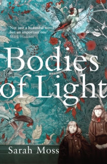 Bodies of Light, Paperback / softback Book Bodies of Light, Paperback / softback Book