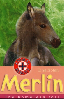 Merlin : The Homeless Foal, Paperback Book Merlin : The Homeless Foal, Paperback Book