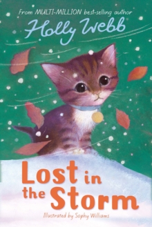 Lost in the Storm, Paperback Book Lost in the Storm, Paperback Book