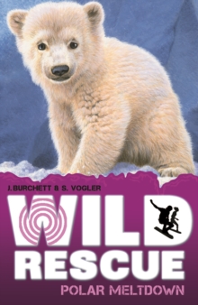 Polar Meltdown, Paperback / softback Book Polar Meltdown, Paperback / softback Book
