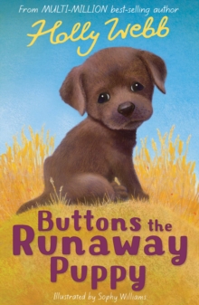 Buttons the Runaway Puppy, Paperback Book Buttons the Runaway Puppy, Paperback Book