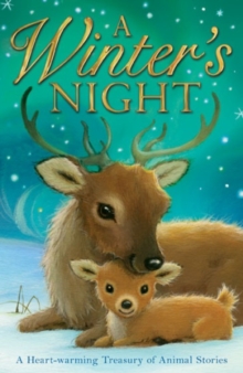 A Winter's Night, Paperback / softback Book A Winter's Night, Paperback / softback Book