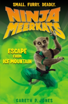 Escape from Ice Mountain, Paperback Book Escape from Ice Mountain, Paperback Book