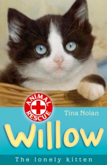 Willow the lonely kitten