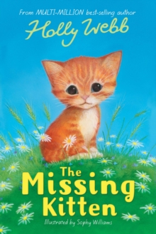 The Missing Kitten