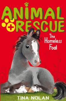 The Homeless Foal, Paperback Book The Homeless Foal, Paperback Book