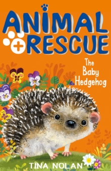 The Baby Hedgehog, Paperback / softback Book The Baby Hedgehog, Paperback / softback Book