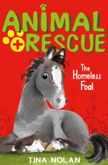 The Homeless Foal