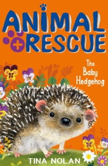 The Baby Hedgehog