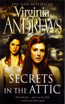 Secrets in the Attic, Paperback Book Secrets in the Attic, Paperback Book