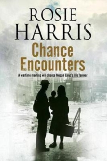 Chance Encounters, Paperback Book Chance Encounters, Paperback Book