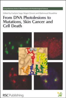 From DNA Photolesions to Mutations, Skin Cancer and Cell Death