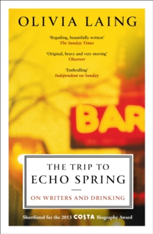 The Trip to Echo Spring : On Writers and Drinking, Paperback Book The Trip to Echo Spring : On Writers and Drinking, Paperback Book