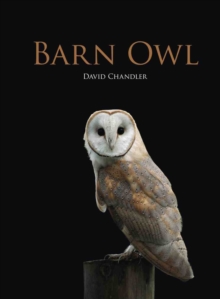 Barn Owl, Hardback Book Barn Owl, Hardback Book