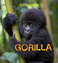 Gorilla, Paperback Book Gorilla, Paperback Book