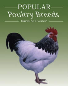 Popular Poultry Breeds, Hardback Book Popular Poultry Breeds, Hardback Book