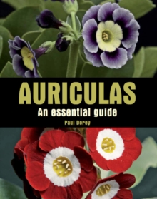Auriculas : An Essential Guide, Hardback Book Auriculas : An Essential Guide, Hardback Book