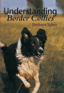 Understanding Border Collies