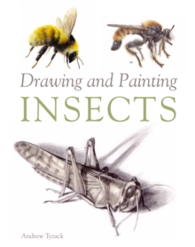 Drawing and Painting Insects