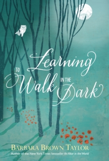 Learning to Walk in the Dark : Because God often shows up at night