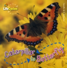 Caterpillar to Butterfly, Paperback Book Caterpillar to Butterfly, Paperback Book