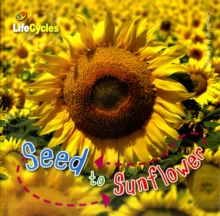 Lifecycles: Seed to Sunflower, Paperback Book Lifecycles: Seed to Sunflower, Paperback Book
