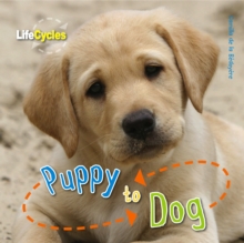 Life Cycles: Puppy to Dog, Paperback Book Life Cycles: Puppy to Dog, Paperback Book