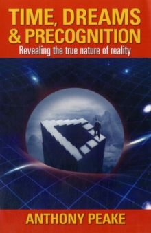 The Labyrinth of Time : The Illusion of Past, Present and Future, Paperback Book The Labyrinth of Time : The Illusion of Past, Present and Future, Paperback Book