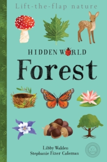 Hidden World: Forest, Novelty book Book Hidden World: Forest, Novelty book Book