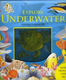 Explore Underwater, Board book Book Explore Underwater, Board book Book