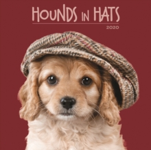 Hounds in Hats 2020 Calendar, Paperback / softback Book Hounds in Hats 2020 Calendar, Paperback / softback Book