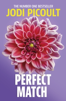 Perfect Match : the international bestseller about the strength of a mother's love