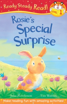 Rosie's Special Surprise, Paperback Book Rosie's Special Surprise, Paperback Book