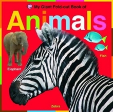 Animals : Wipe Clean Activity Flashcards, Board book Book Animals : Wipe Clean Activity Flashcards, Board book Book