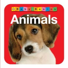 Animals : Wipe Clean Activity Flashcards, Board book Book Animals : Wipe Clean Activity Flashcards, Board book Book