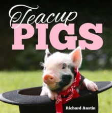 Teacup Pigs, Hardback Book Teacup Pigs, Hardback Book