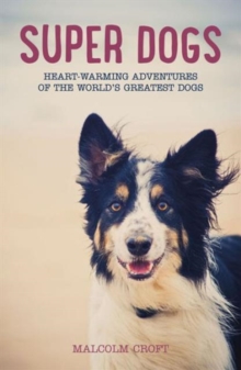 Super Dogs : Heart-Warming Stories of the World's Greatest Dogs, Paperback Book Super Dogs : Heart-Warming Stories of the World's Greatest Dogs, Paperback Book