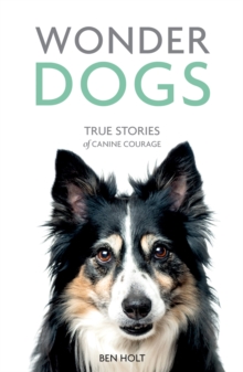 Wonder Dogs : True Stories of Canine Courage, Paperback / softback Book Wonder Dogs : True Stories of Canine Courage, Paperback / softback Book