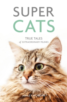 Super Cats : True Tales of Extraordinary Felines, Paperback / softback Book Super Cats : True Tales of Extraordinary Felines, Paperback / softback Book